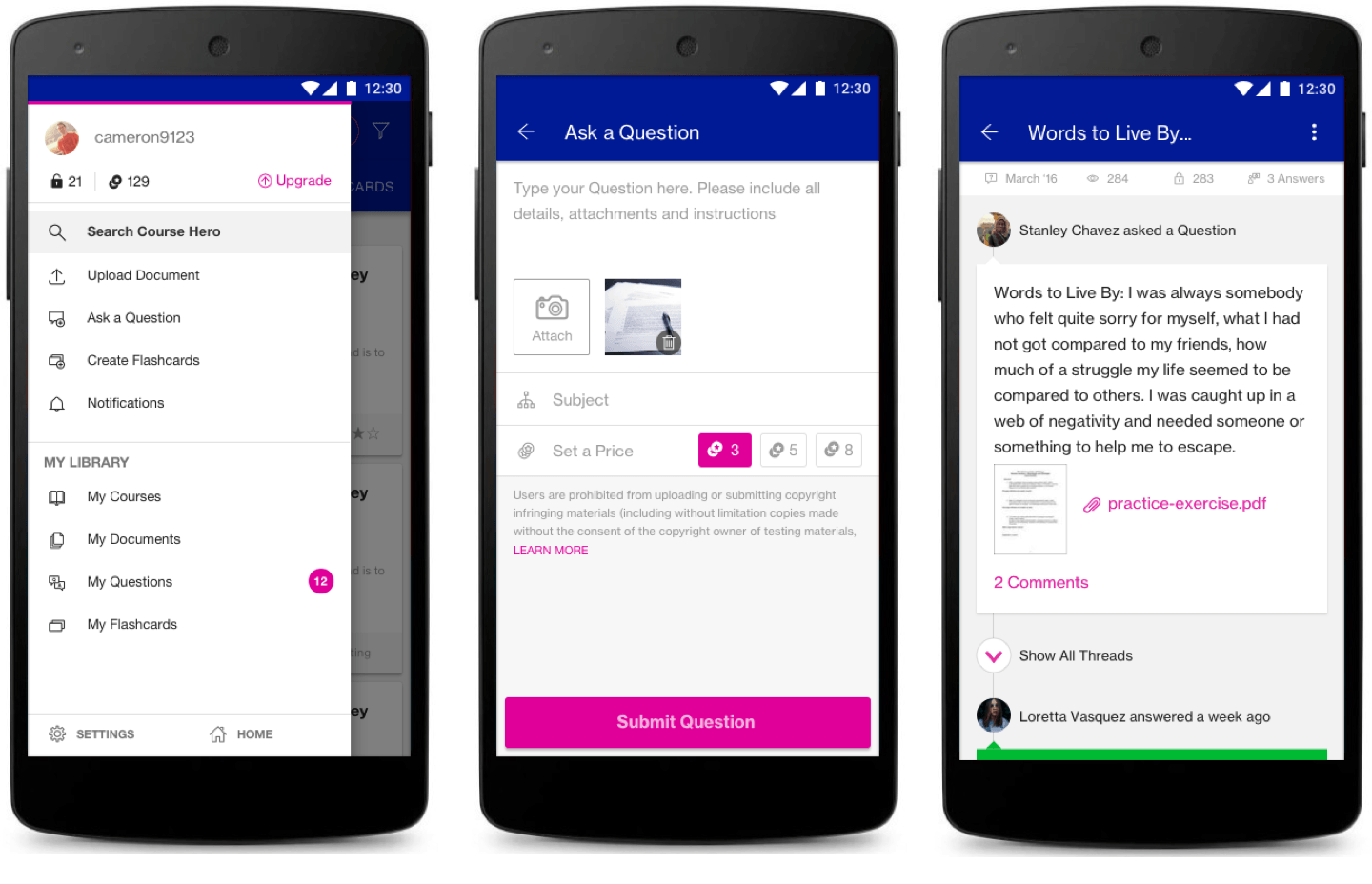 Other Course Hero features